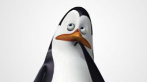 Universal Script 📌 | Break solara — Roblox Scripts | ScriptBlox