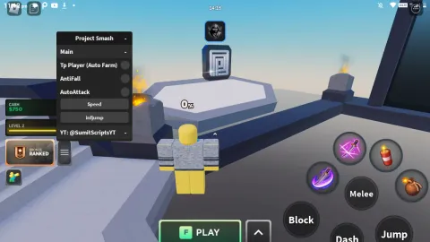 Project Smash