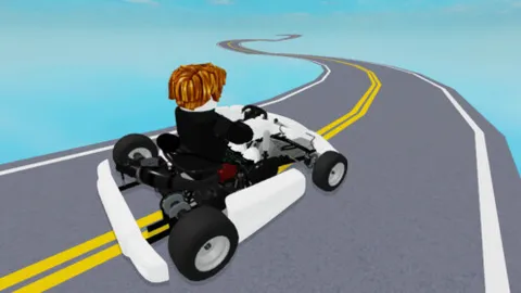 Go Kart Race Simulator