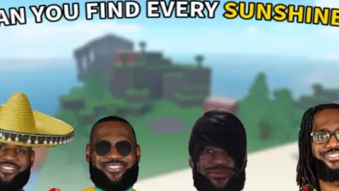 Find The Sunshines