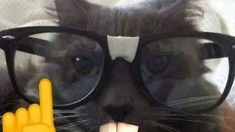 Caculator open sorce - Math Tower Race script preview