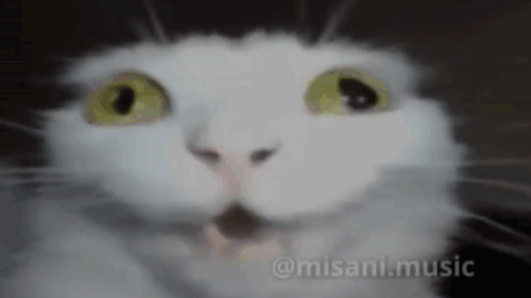 one hit - Left 4 Blox (BACK!) script preview