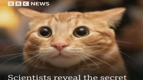 get badge and green viking - [patrick🍀] THE: II script preview