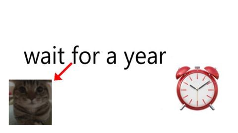 Wait For 1 Year