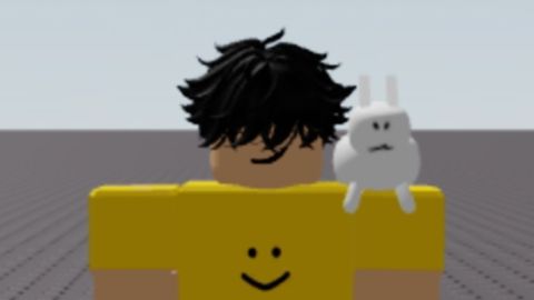 Natural Disaster Survival