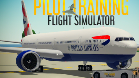 Pilot Training Flight Simulator