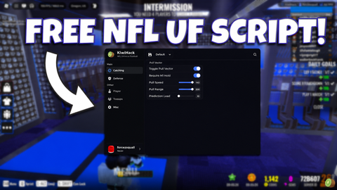 [🚩FLAG] NFL Universe Football
