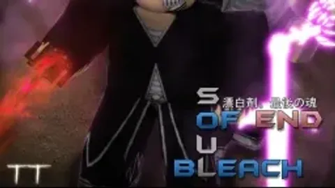 x100 EXP - Bleach: Soul Of End