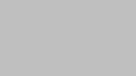 Fencing HD