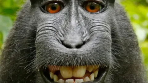 auto do keycard - ⛓️ Stateview Prison script preview