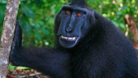 Instant minigame keycard - ⛓️ Stateview Prison script preview