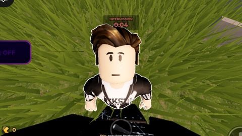 Aarav loader - Brookhaven 🏡RP script preview