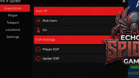 Spider