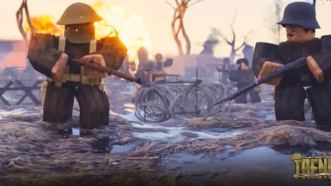 TRENCHES