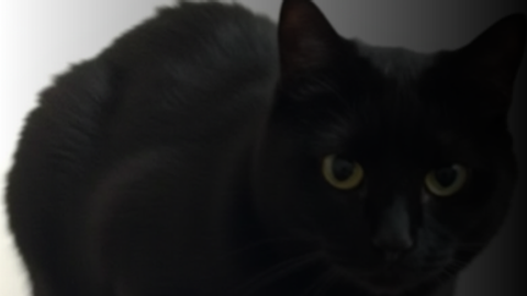 Realistic car driving autofarm - 🥚EGG HUNT | Realistic Car Driving™ script preview