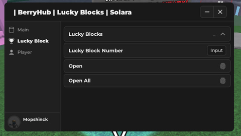 ❓ LUCKY BLOCKS Battlegrounds