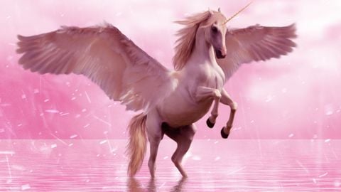 Magical Experience - MIC UP 🔊 script preview