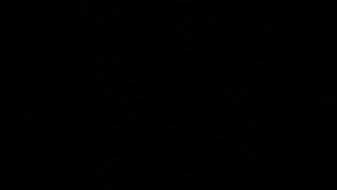 Universal Script ๐