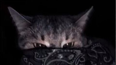 21 Hub Reminder There is Key very easy to access - [CARRIER] Military Tycoon ® script preview