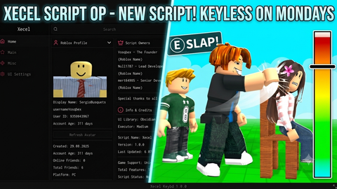 Find Who Slapped