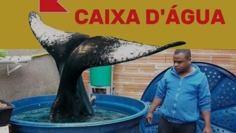 LUMINOS  Open Source - [HIGHLIGHTS] Flood Escape 2 🌊 script preview