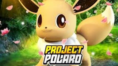Project Polaro