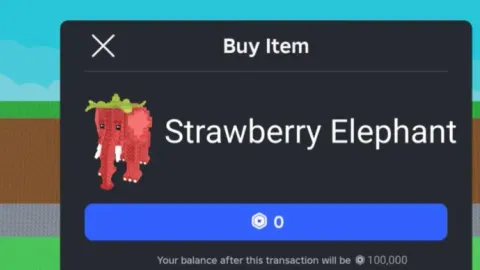 Buy the Brainrot