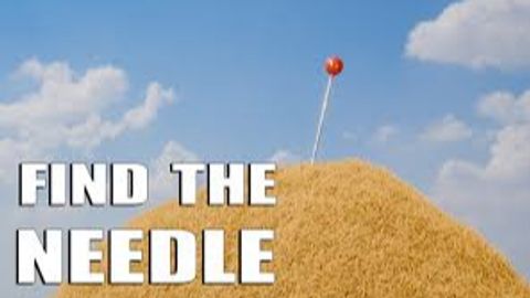 [🐶] Search For The Needle