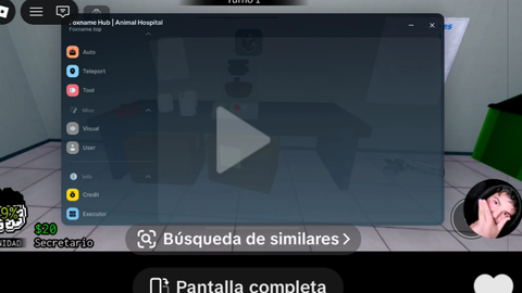 Animal Hospital (Anomaly) 🧪