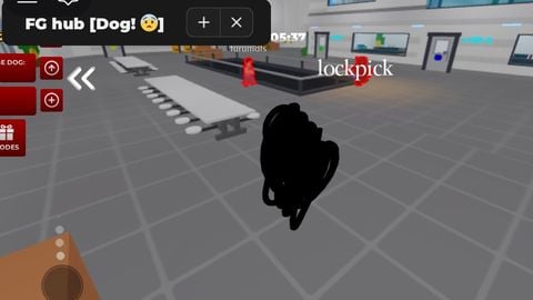 Dog! 😨