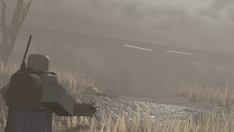 The Fields