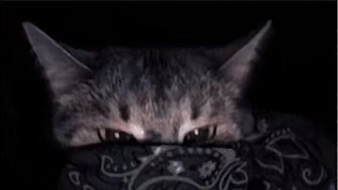 Opensource And Keyless - ⛩️Flee the Facility💕 script preview