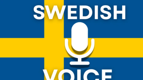 Swedish Voice Chat 🎙️