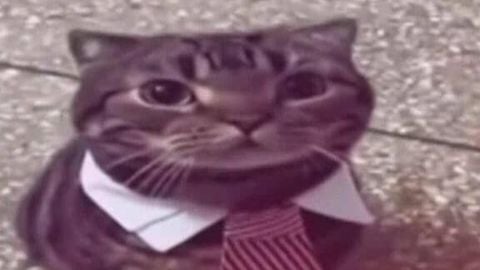 Unlock More Emotes Slot - Jujutsu Shenanigans script preview