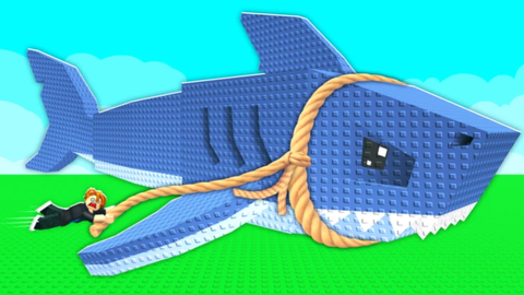 [🌊] Catch And Tame!