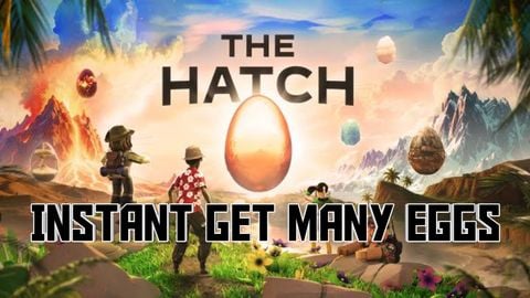 The Hatch