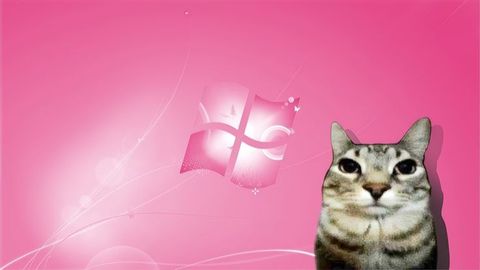 Legecy auto jump - 🍀 Evade 🪙 [St. Pats] script preview