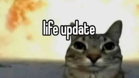 ELPIYO HUB AFK FARM - ☘️ Evade ☘️ script preview