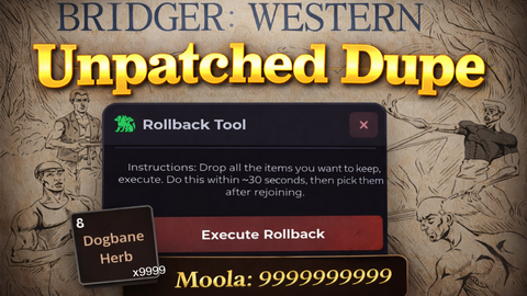 Dupe and Rollback Script - bridger: WESTERN (UPDATE 1) (RATES+) script preview