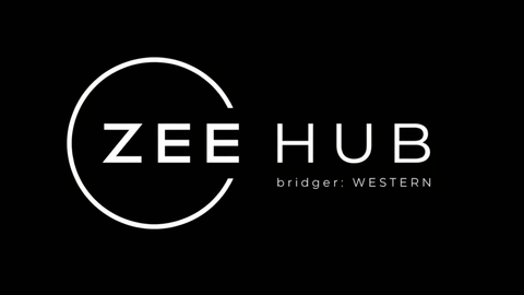 Zee Hub Free Autofish ESP Aimbot FREE - bridger: WESTERN (UPDATE 1.5) script preview