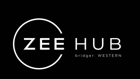 Zee Hub Free Autofish Aimbot ESP superspeed undetected - bridger: WESTERN (UPDATE 1.6) script preview